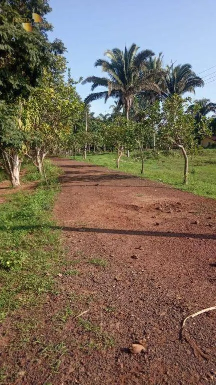 Fazenda à venda de 1.153 ha em Araguaína, TO, Brasil