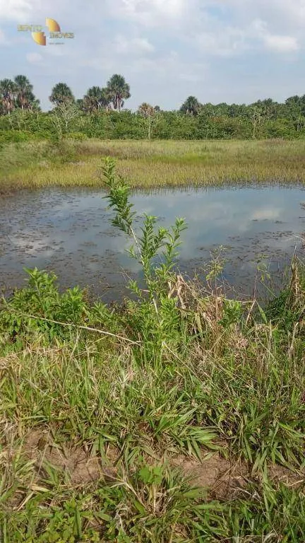 Fazenda à venda de 1.153 ha em Araguaína, TO, Brasil