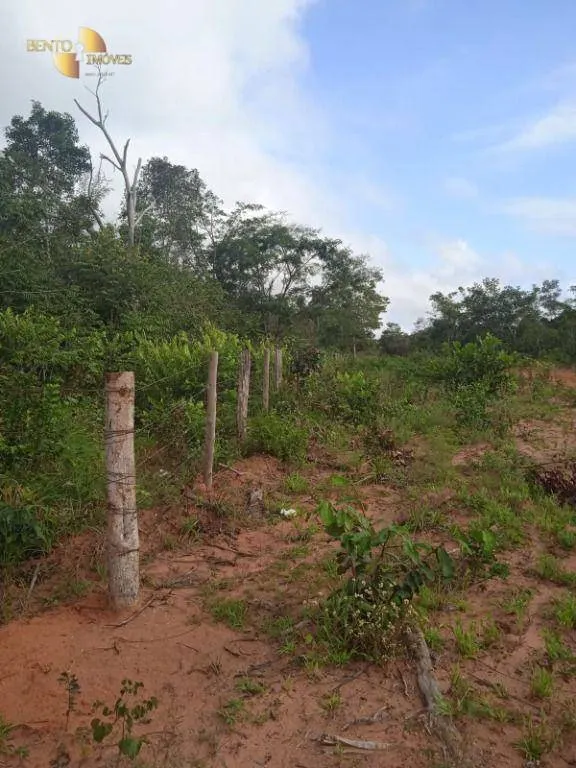 Fazenda à venda de 1.153 ha em Araguaína, TO, Brasil