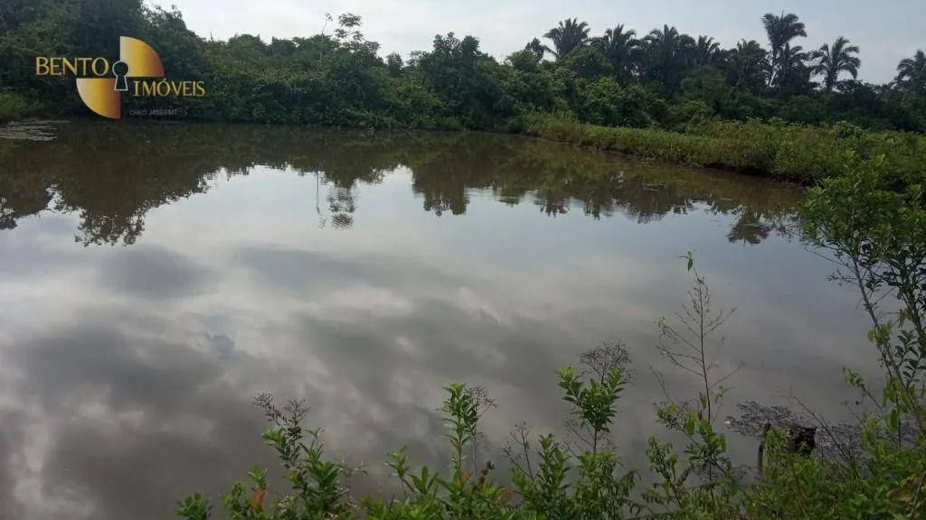 Fazenda à venda de 1.153 ha em Araguaína, TO, Brasil