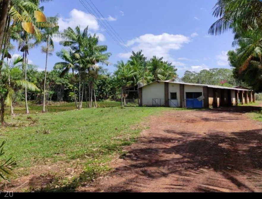 Fazenda à venda de 1.153 ha em Araguaína, TO, Brasil