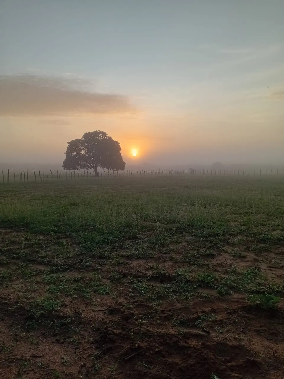Terreno à venda de 18 ha em Governador Dix Sept Rosado, RN, Brasil