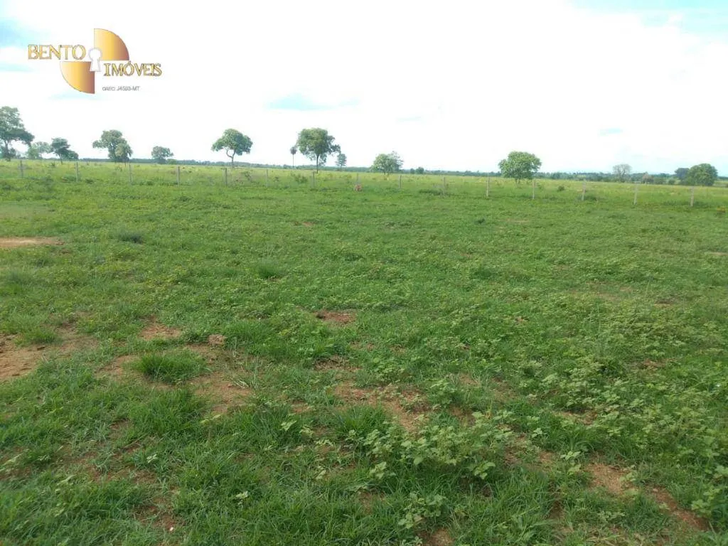 Fazenda à venda de 267 ha em Várzea Grande, MT, Brasil