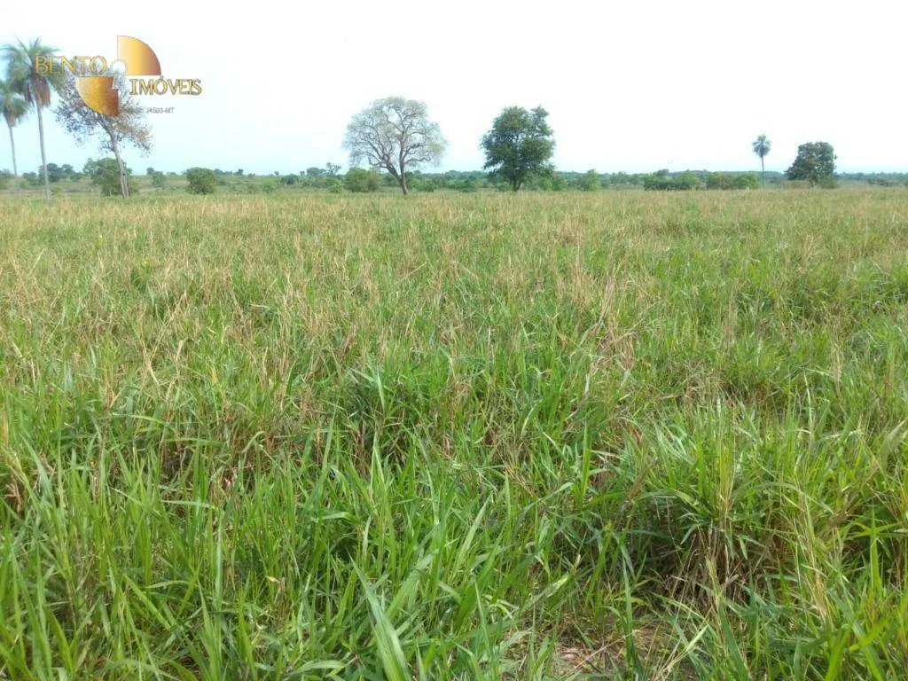Fazenda à venda de 267 ha em Várzea Grande, MT, Brasil