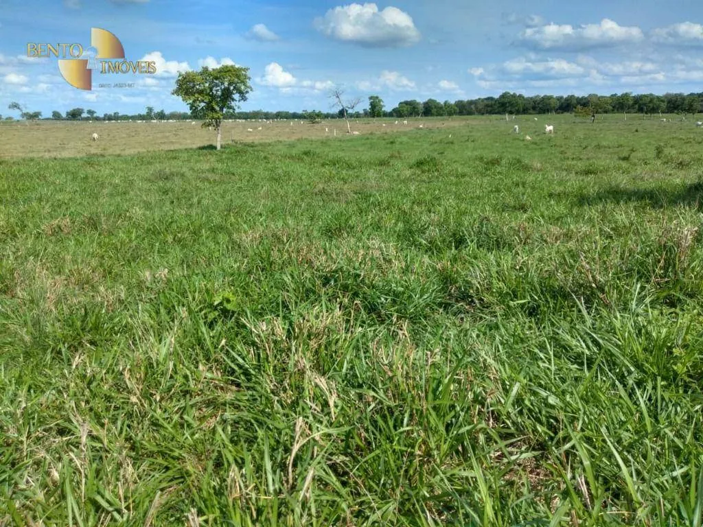 Fazenda à venda de 267 ha em Várzea Grande, MT, Brasil