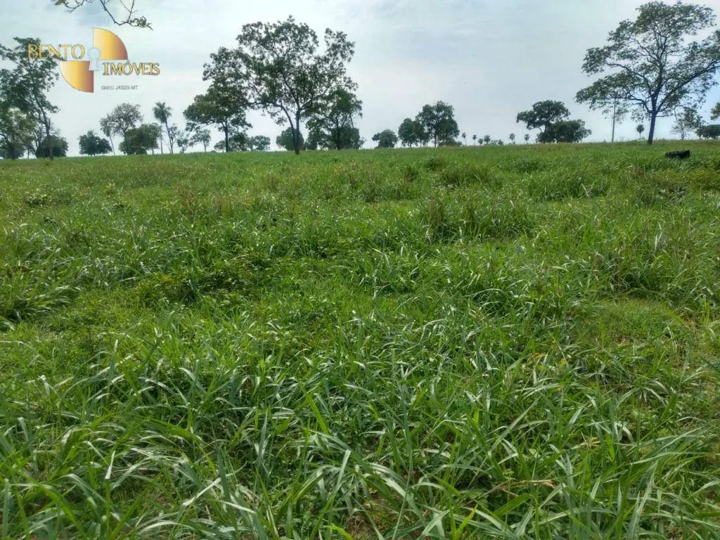 Fazenda à venda de 267 ha em Várzea Grande, MT, Brasil