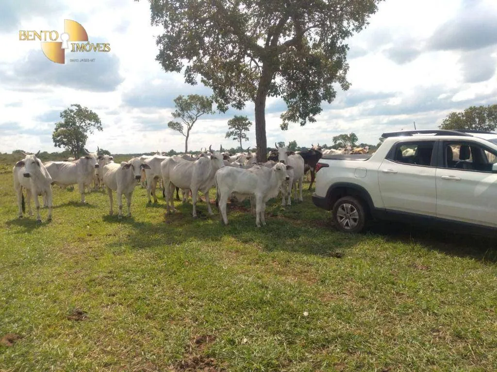 Fazenda à venda de 267 ha em Várzea Grande, MT, Brasil