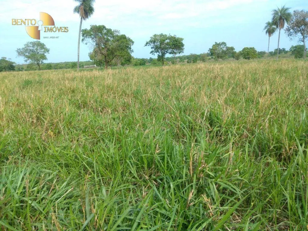 Fazenda à venda de 267 ha em Várzea Grande, MT, Brasil