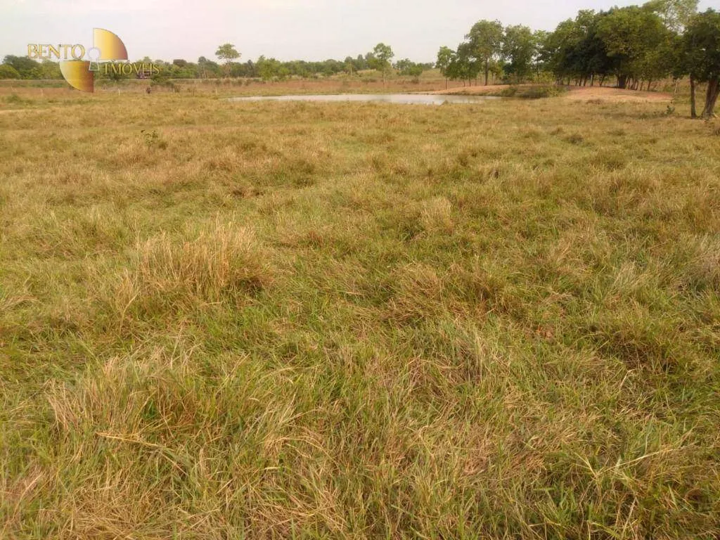 Fazenda à venda de 267 ha em Várzea Grande, MT, Brasil