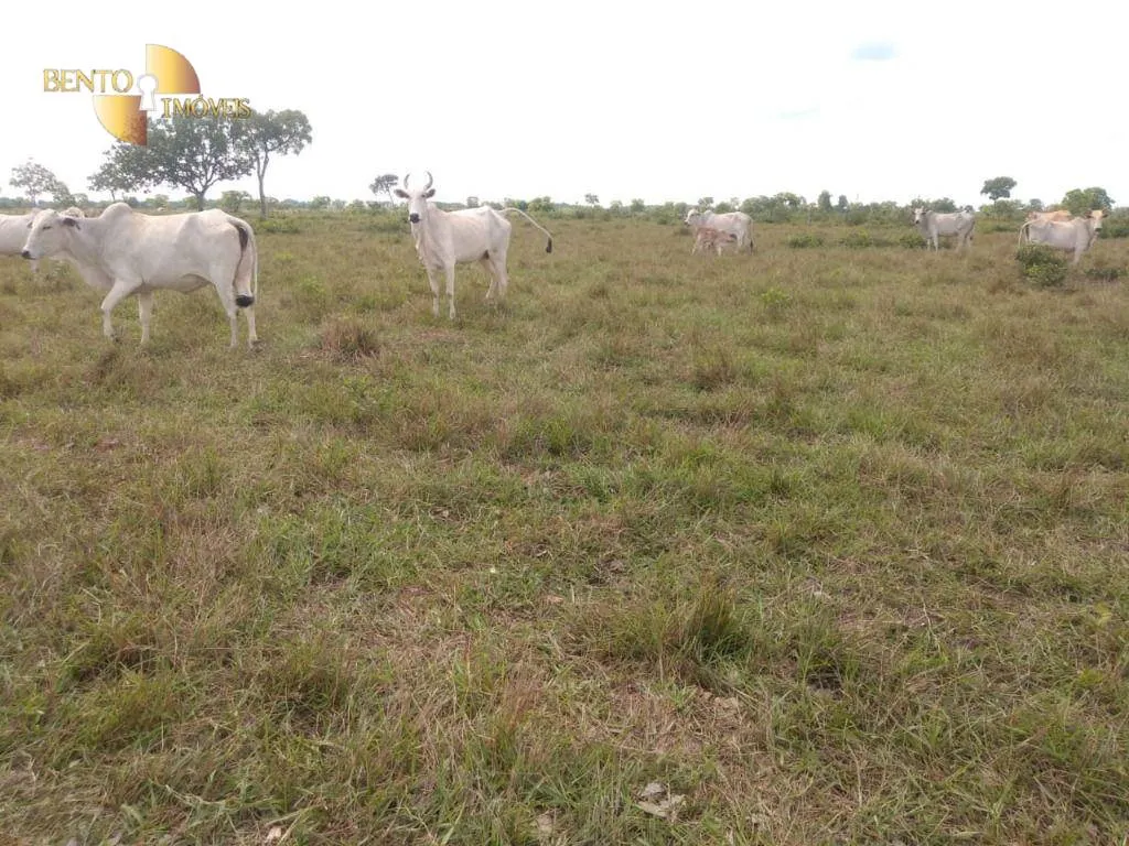 Fazenda à venda de 267 ha em Várzea Grande, MT, Brasil