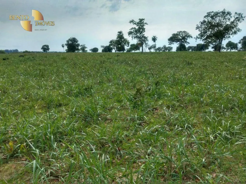 Fazenda à venda de 267 ha em Várzea Grande, MT, Brasil