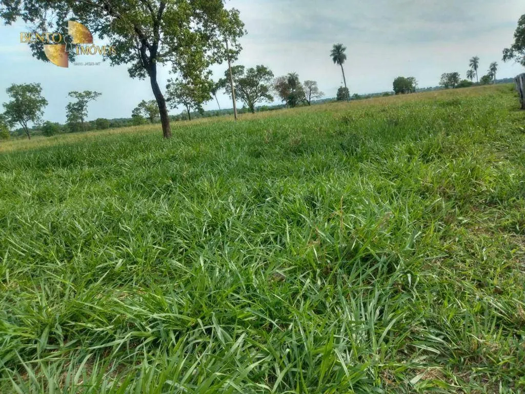 Fazenda à venda de 267 ha em Várzea Grande, MT, Brasil