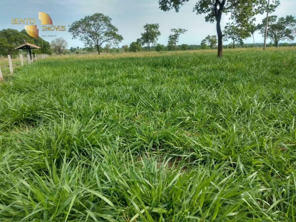 Fazenda à venda de 267 ha em Várzea Grande, MT, Brasil