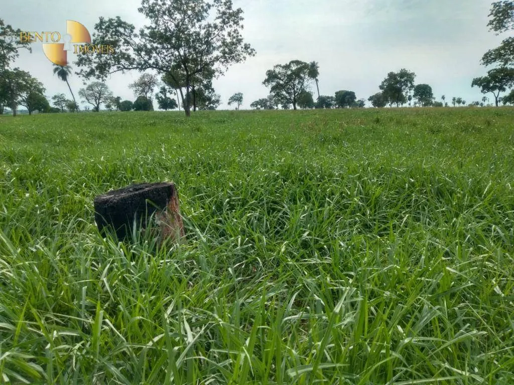 Fazenda à venda de 267 ha em Várzea Grande, MT, Brasil
