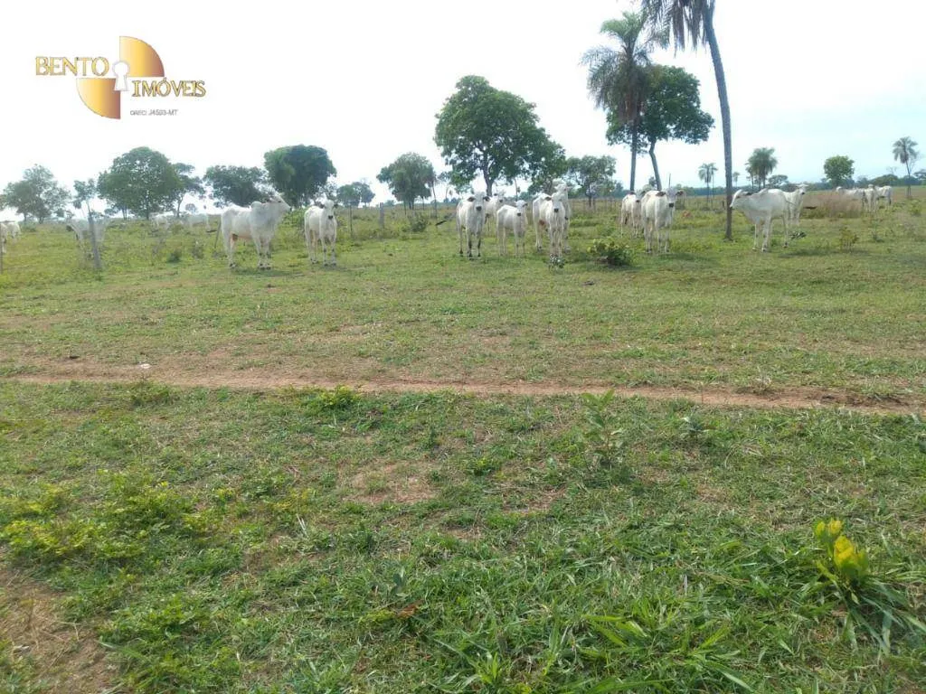 Fazenda à venda de 267 ha em Várzea Grande, MT, Brasil