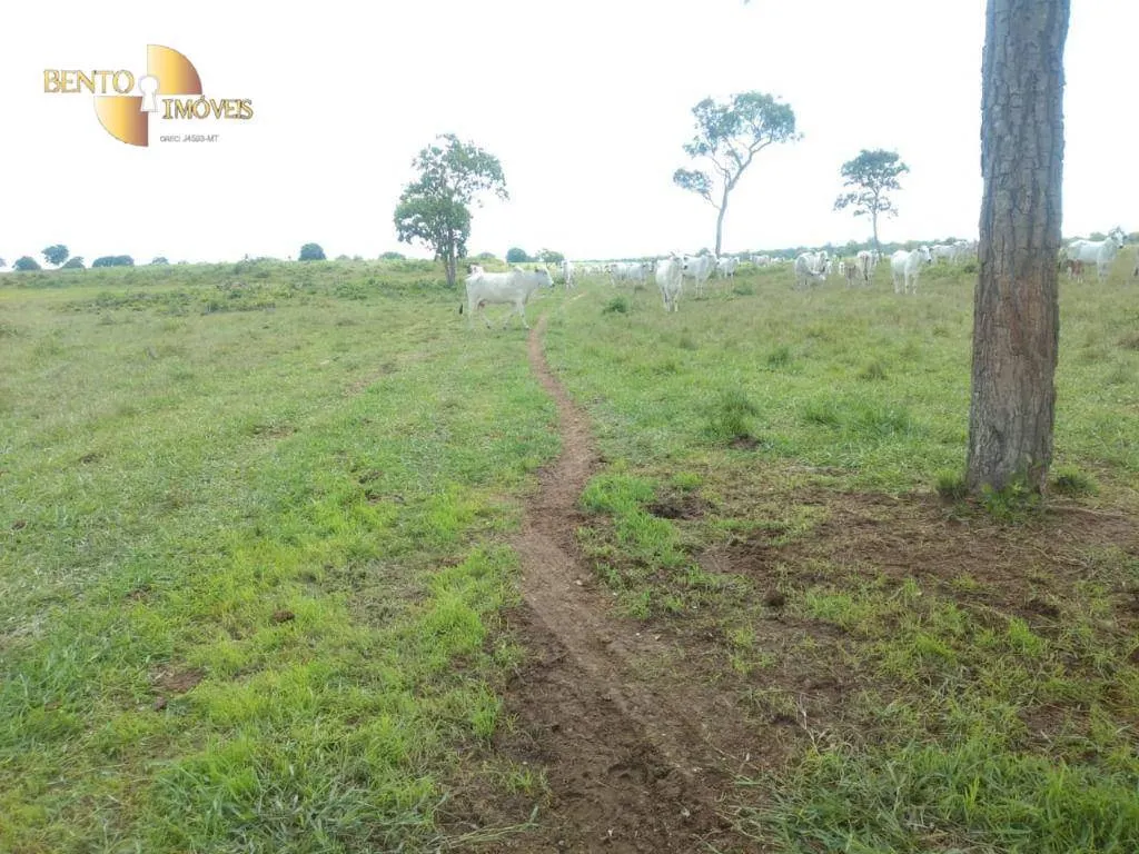 Fazenda à venda de 267 ha em Várzea Grande, MT, Brasil