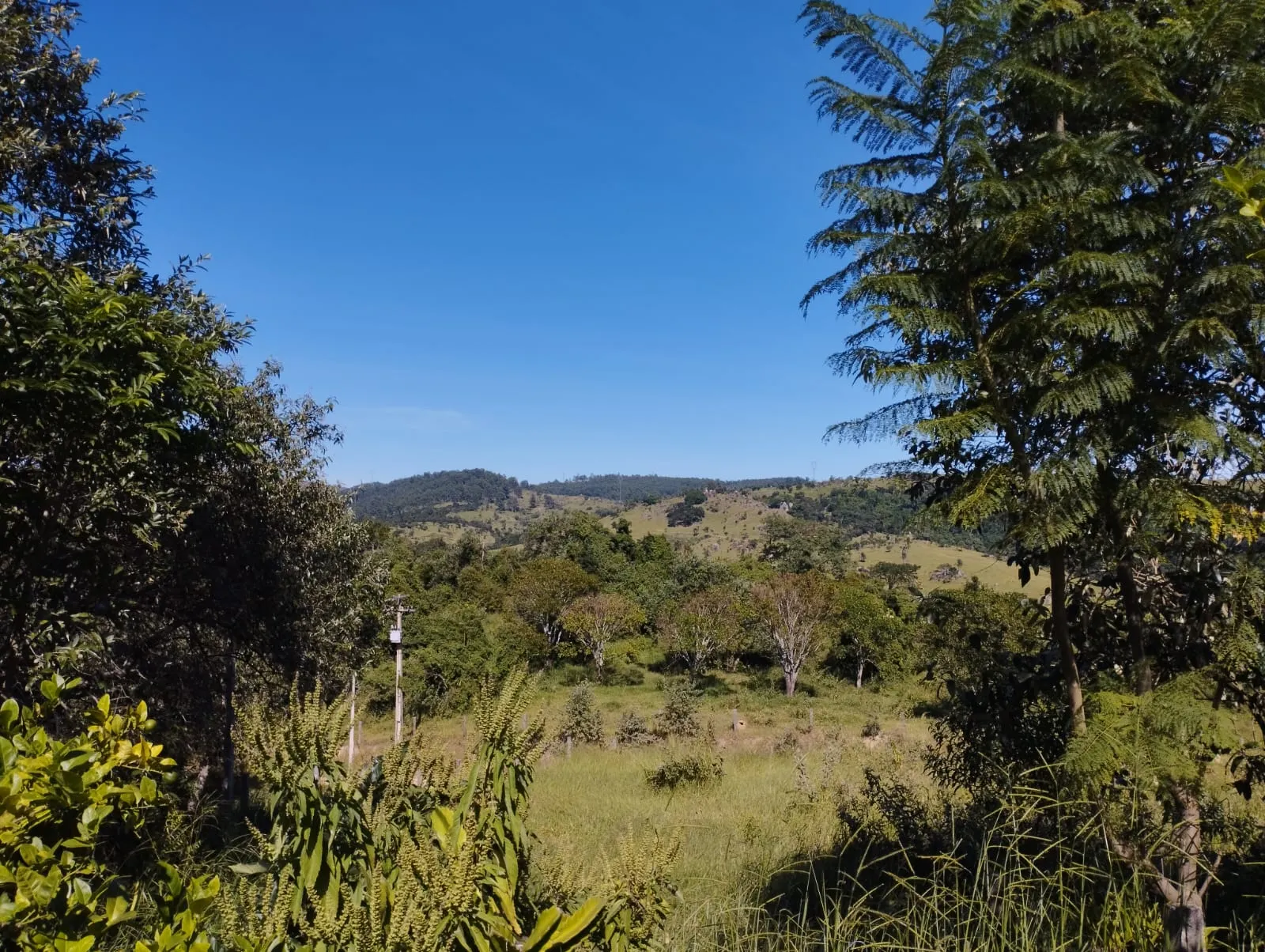 Sítio à venda de 12 ha em Pedreira, SP, Brasil