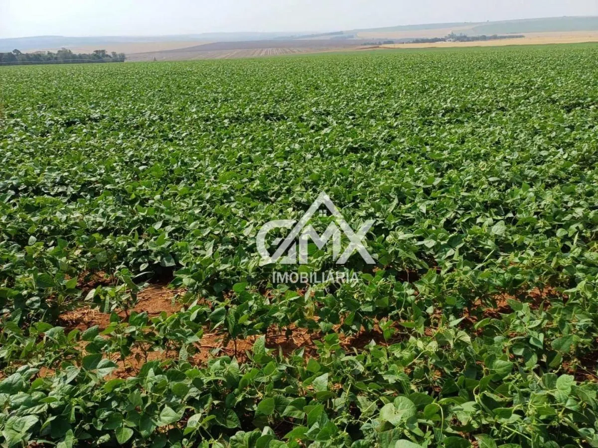 Fazenda à venda de 1.573 ha em Taquarituba, SP, Brasil