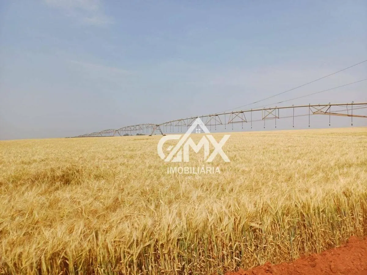 Fazenda à venda de 1.573 ha em Taquarituba, SP, Brasil