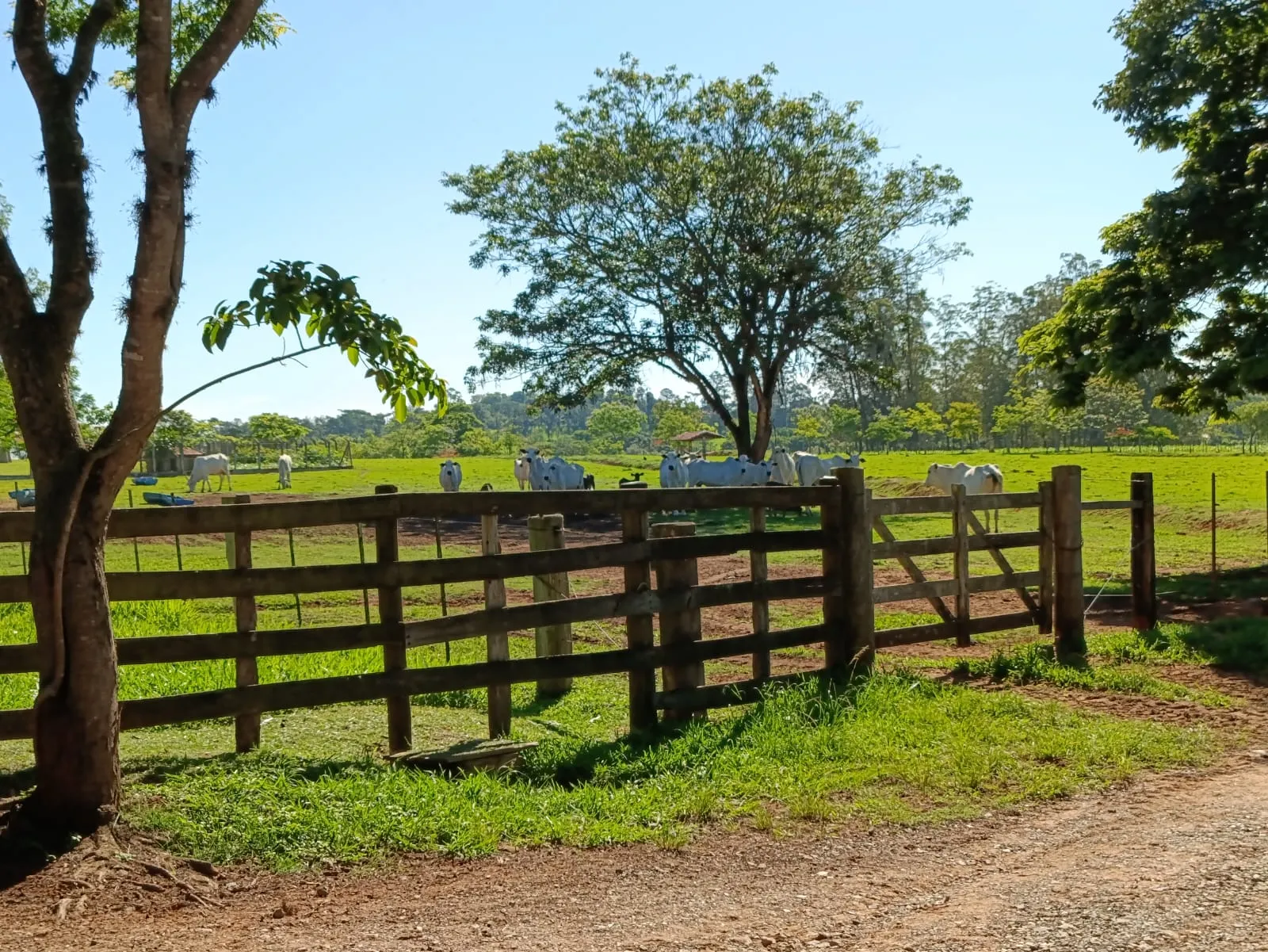 Fazenda à venda de 92 ha em Tatuí, SP, Brasil