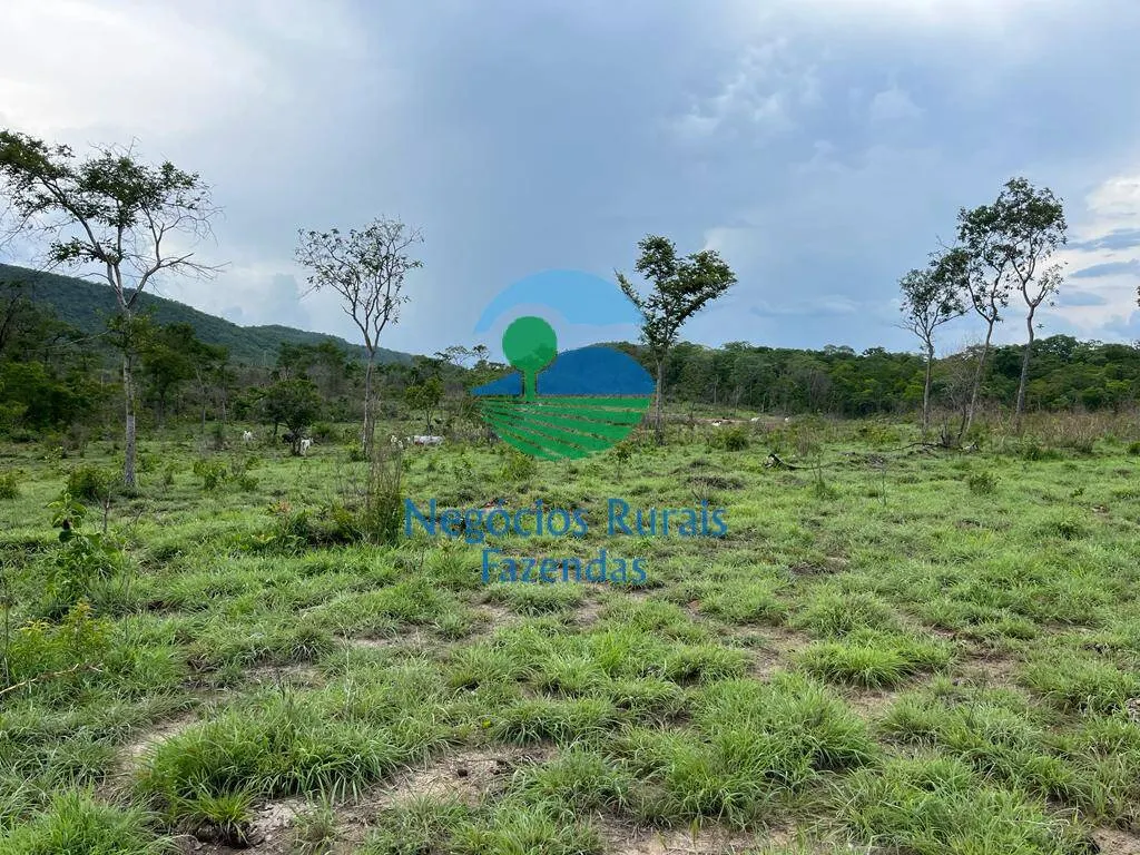 Fazenda à venda de 784 ha em Palmeirópolis, TO, Brasil