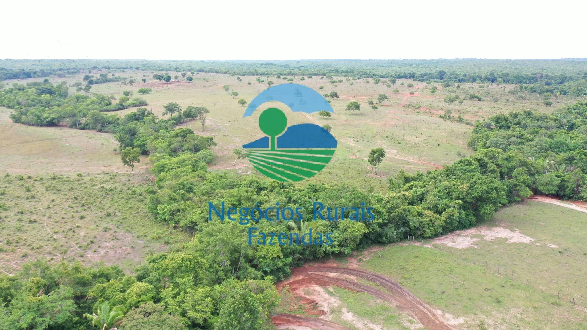 Fazenda à venda de 784 ha em Palmeirópolis, TO, Brasil