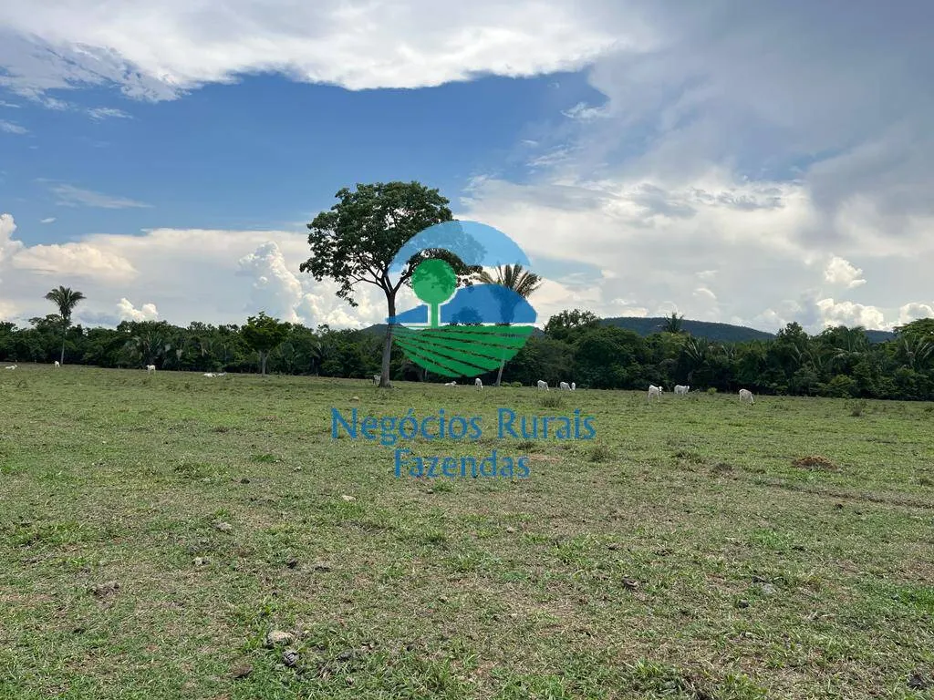 Fazenda à venda de 784 ha em Palmeirópolis, TO, Brasil