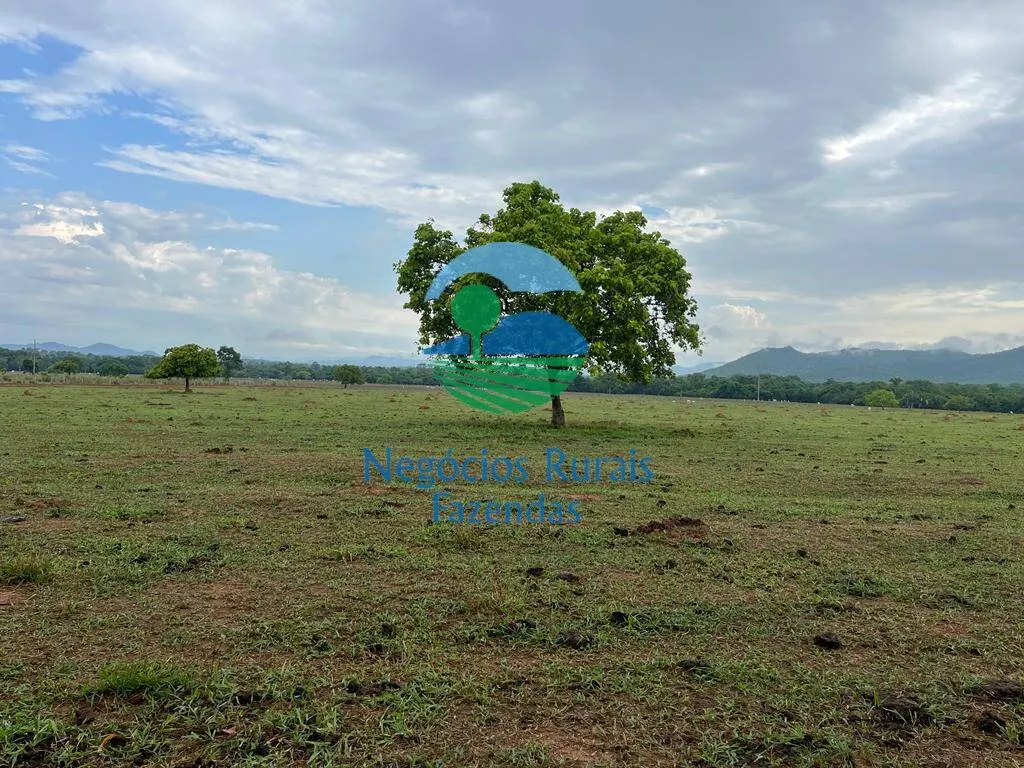 Fazenda à venda de 784 ha em Palmeirópolis, TO, Brasil