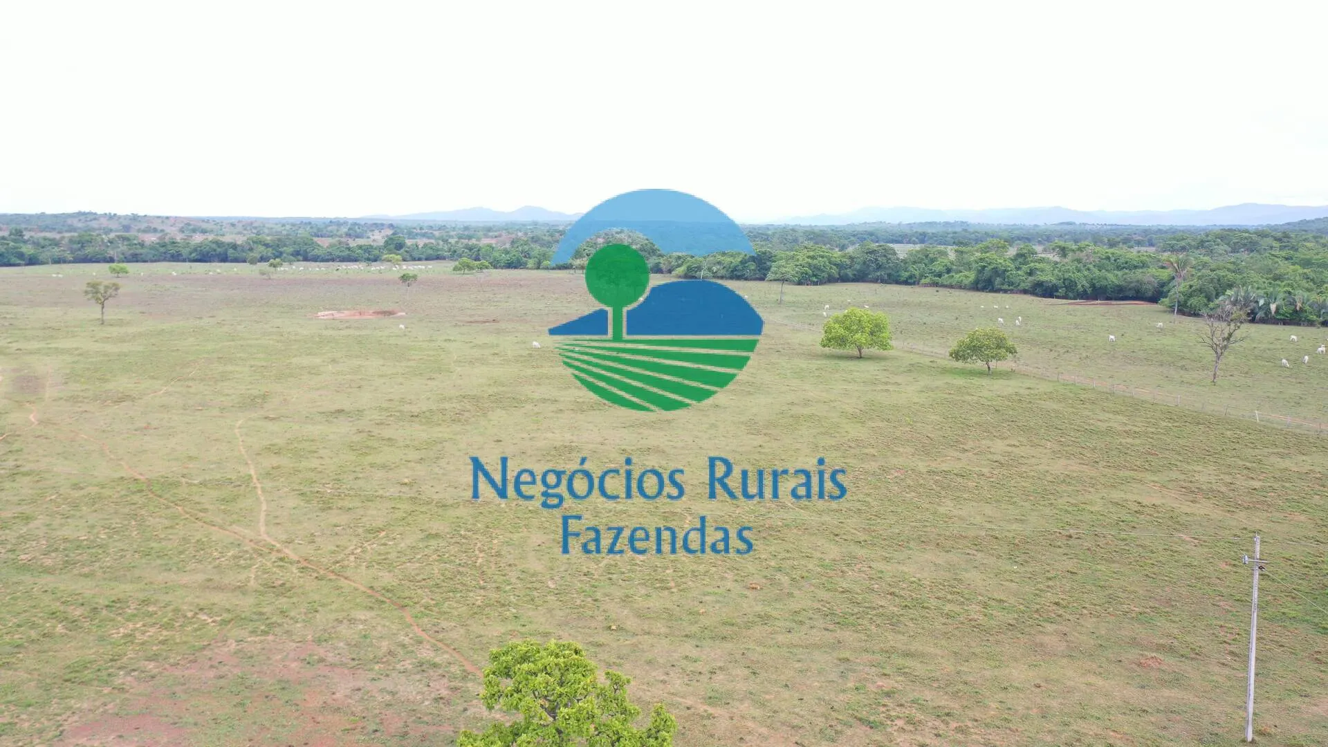 Fazenda à venda de 784 ha em Palmeirópolis, TO, Brasil