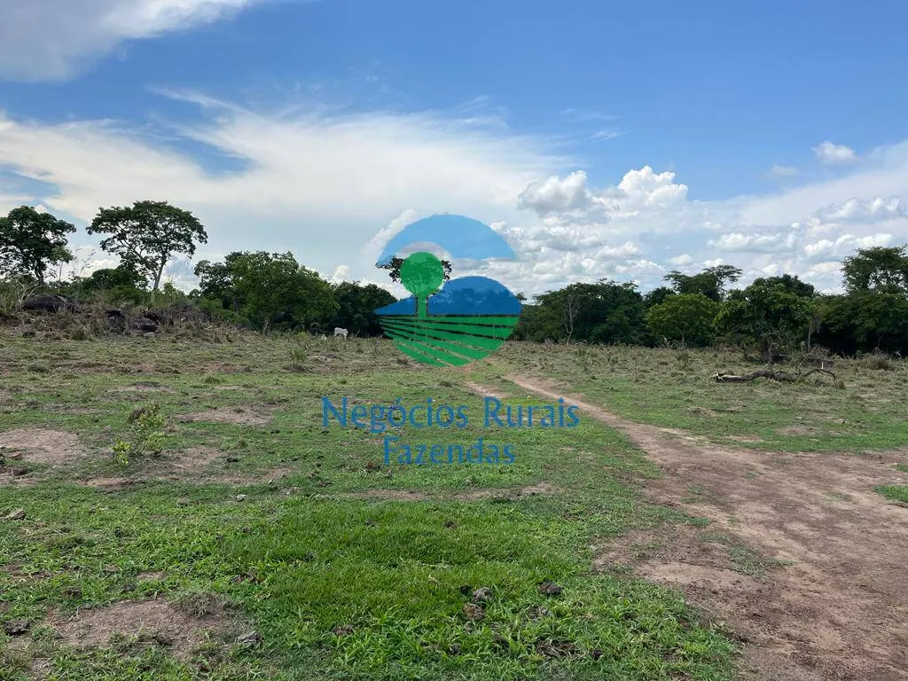 Fazenda à venda de 784 ha em Palmeirópolis, TO, Brasil