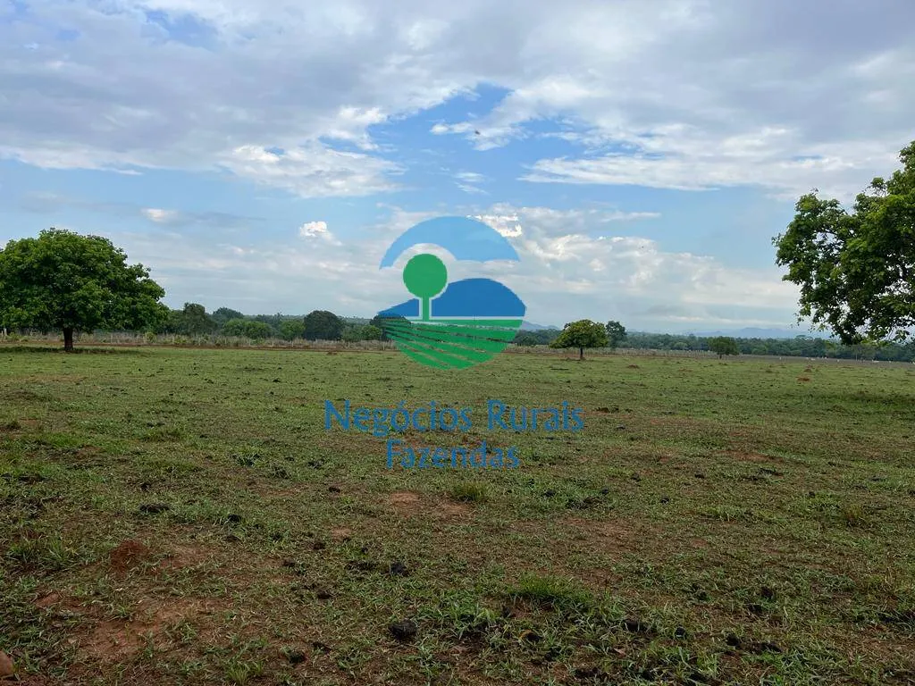 Fazenda à venda de 784 ha em Palmeirópolis, TO, Brasil