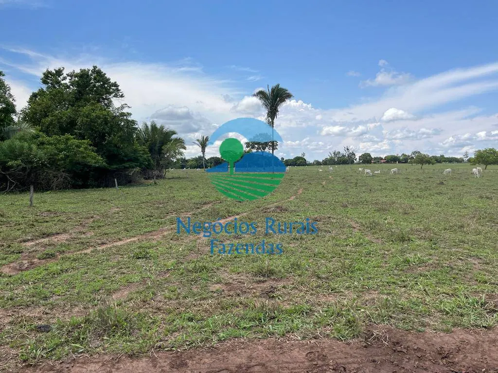 Fazenda à venda de 784 ha em Palmeirópolis, TO, Brasil