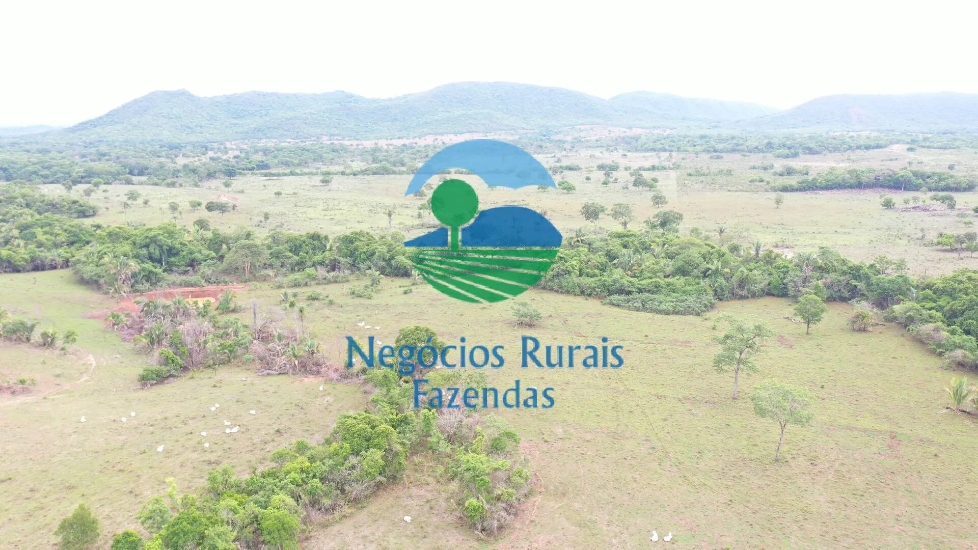 Fazenda à venda de 784 ha em Palmeirópolis, TO, Brasil