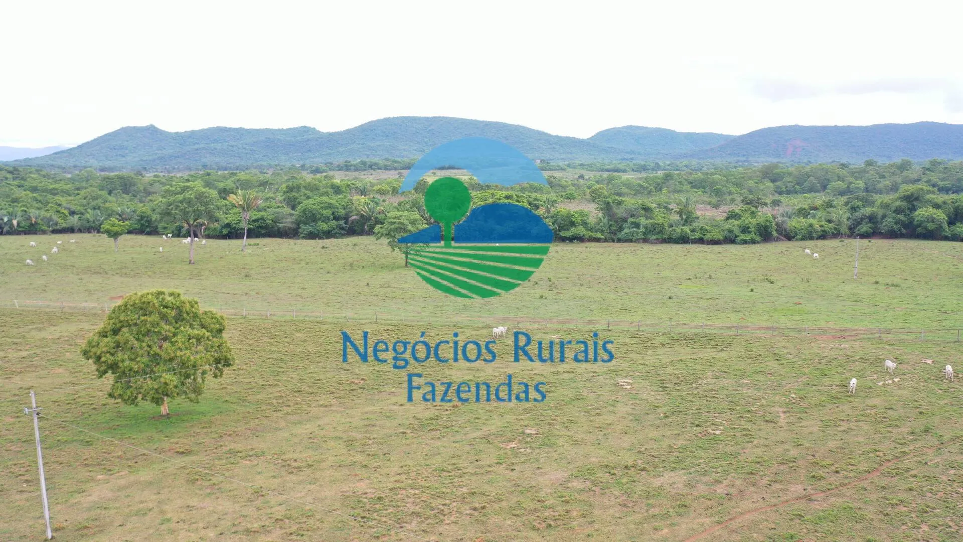 Fazenda à venda de 784 ha em Palmeirópolis, TO, Brasil