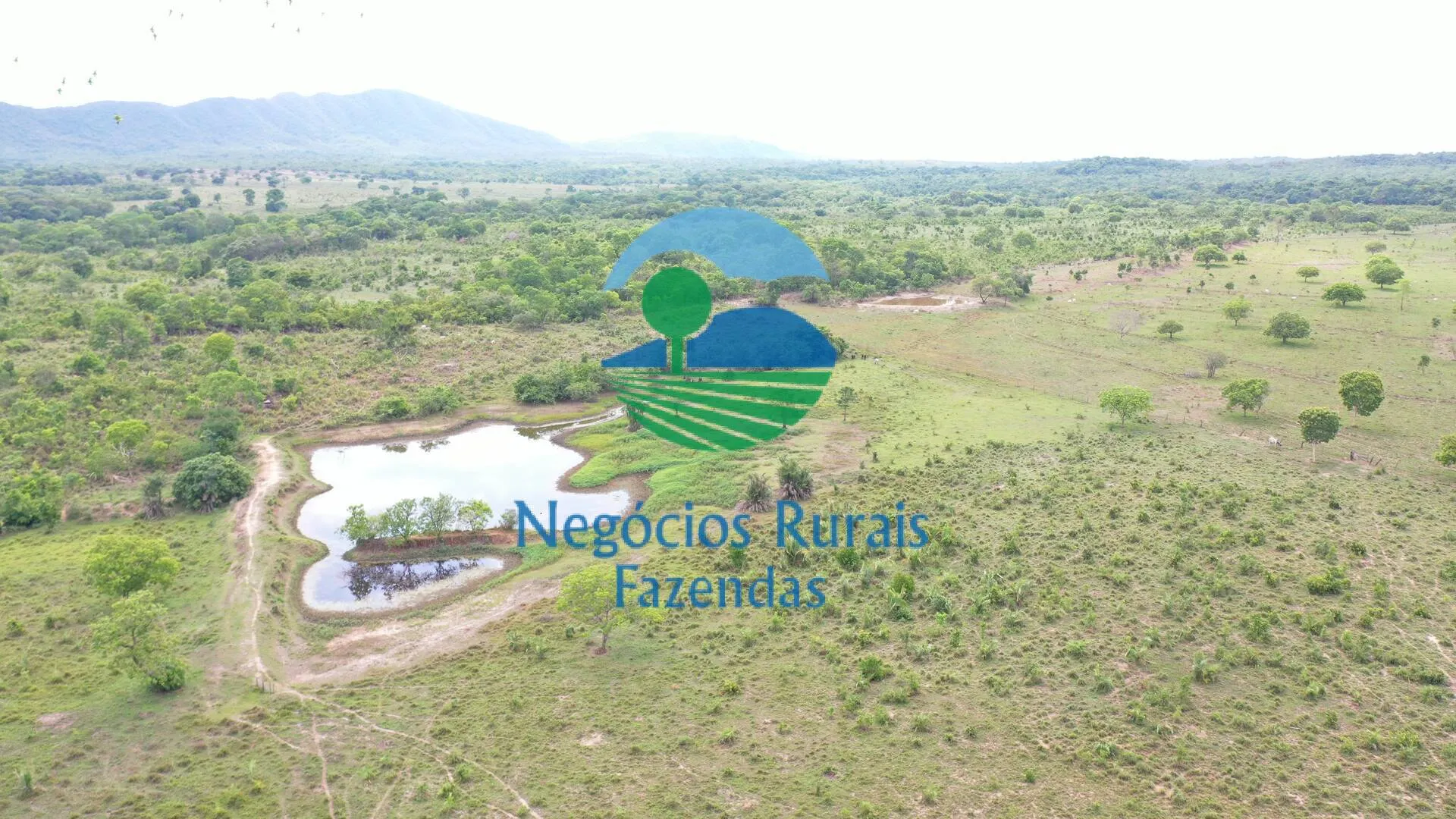 Fazenda à venda de 784 ha em Palmeirópolis, TO, Brasil