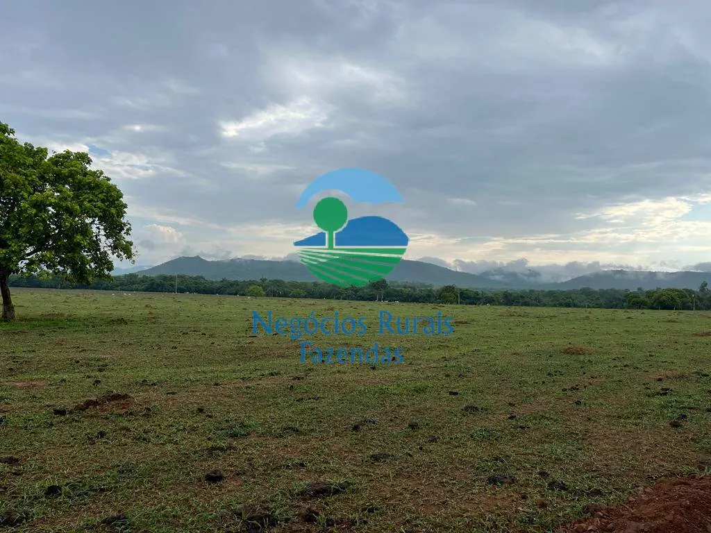 Fazenda à venda de 784 ha em Palmeirópolis, TO, Brasil