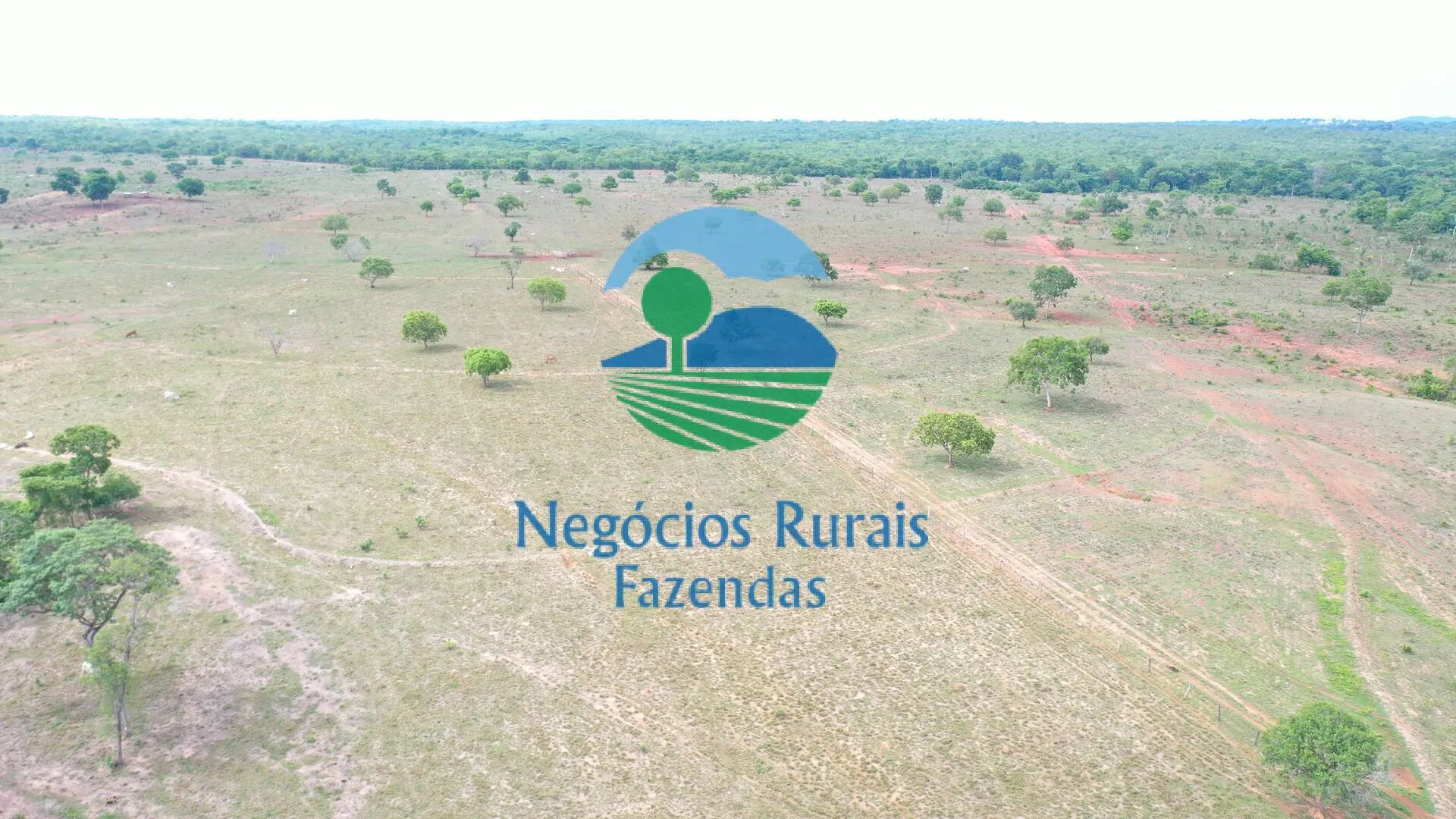 Fazenda à venda de 784 ha em Palmeirópolis, TO, Brasil