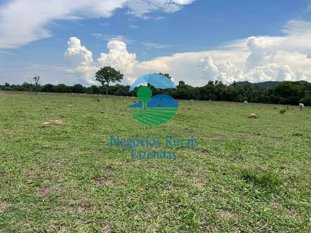 Fazenda à venda de 784 ha em Palmeirópolis, TO, Brasil