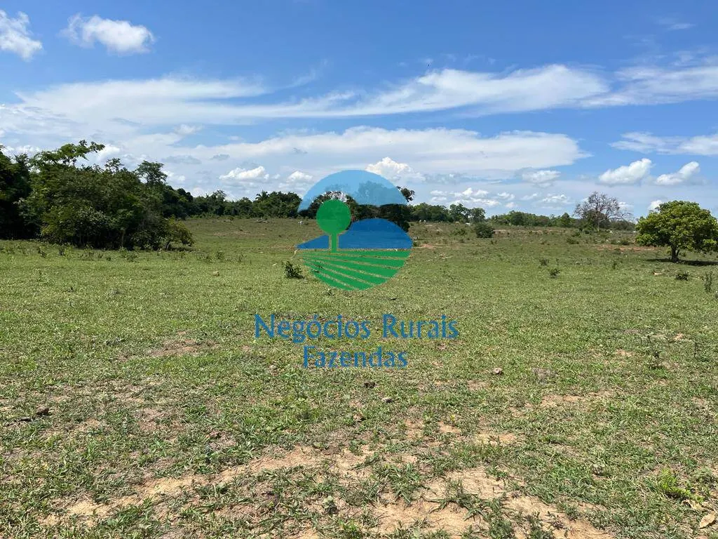 Fazenda à venda de 784 ha em Palmeirópolis, TO, Brasil