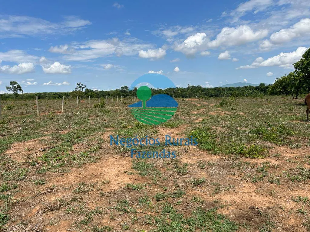 Fazenda à venda de 784 ha em Palmeirópolis, TO, Brasil