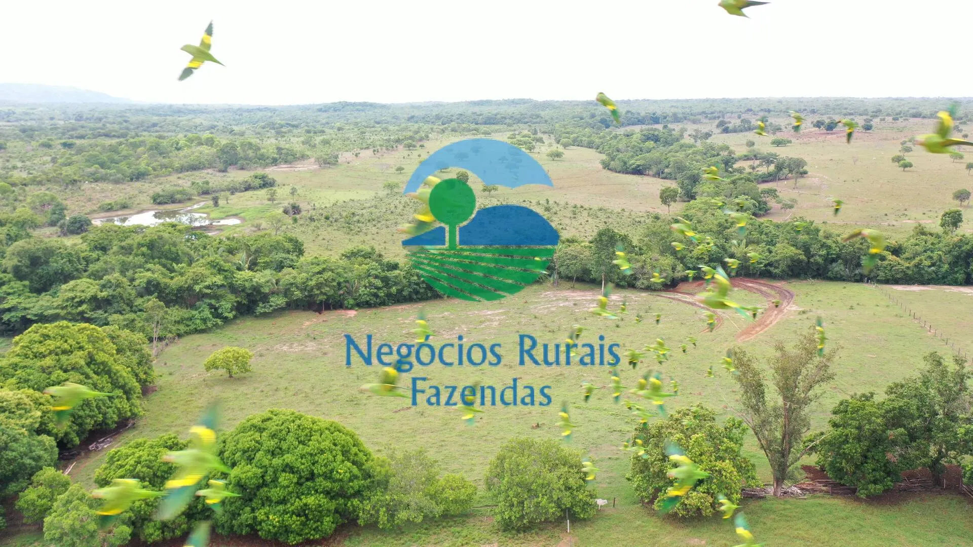 Fazenda à venda de 784 ha em Palmeirópolis, TO, Brasil