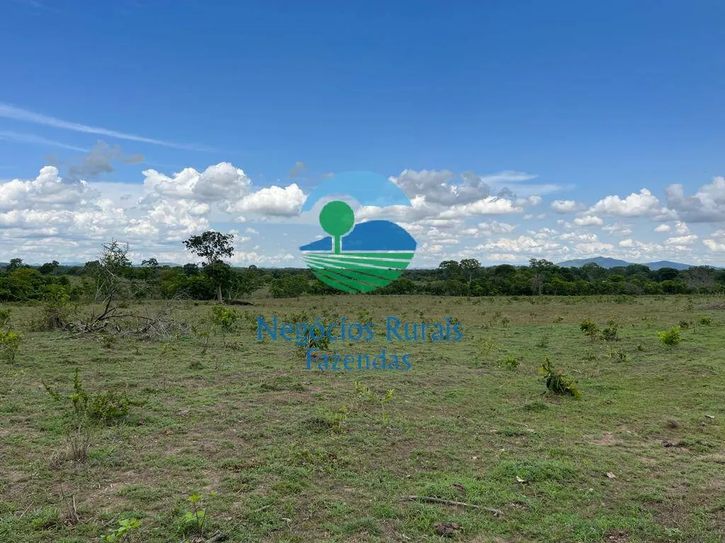 Fazenda à venda de 784 ha em Palmeirópolis, TO, Brasil