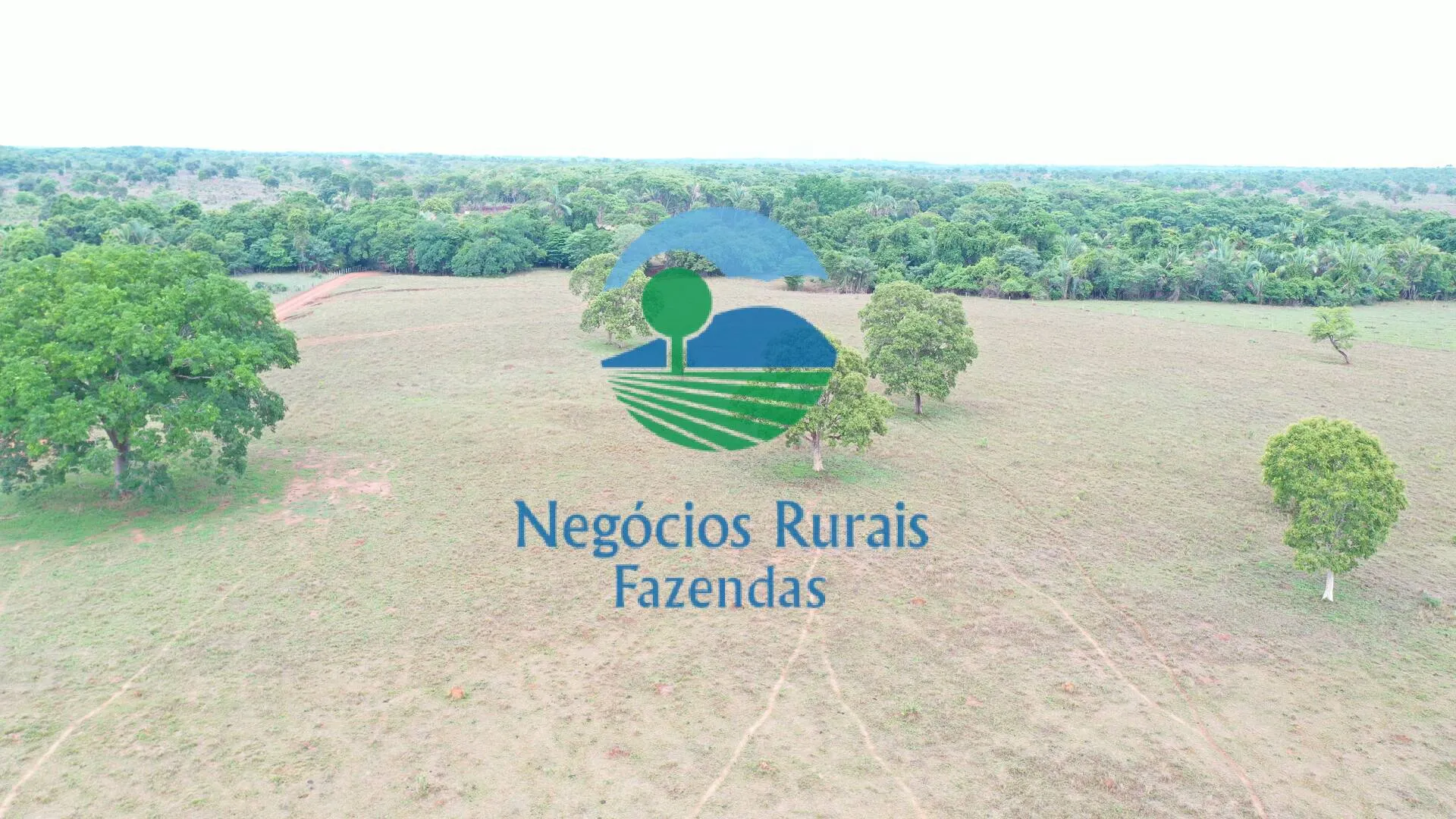 Fazenda à venda de 784 ha em Palmeirópolis, TO, Brasil