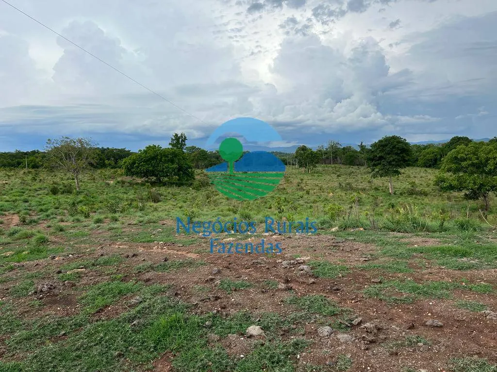 Fazenda à venda de 784 ha em Palmeirópolis, TO, Brasil