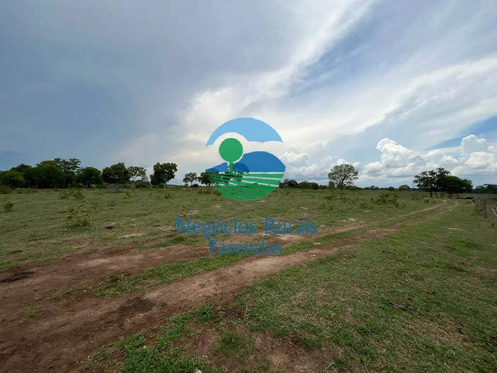 Fazenda à venda de 784 ha em Palmeirópolis, TO, Brasil