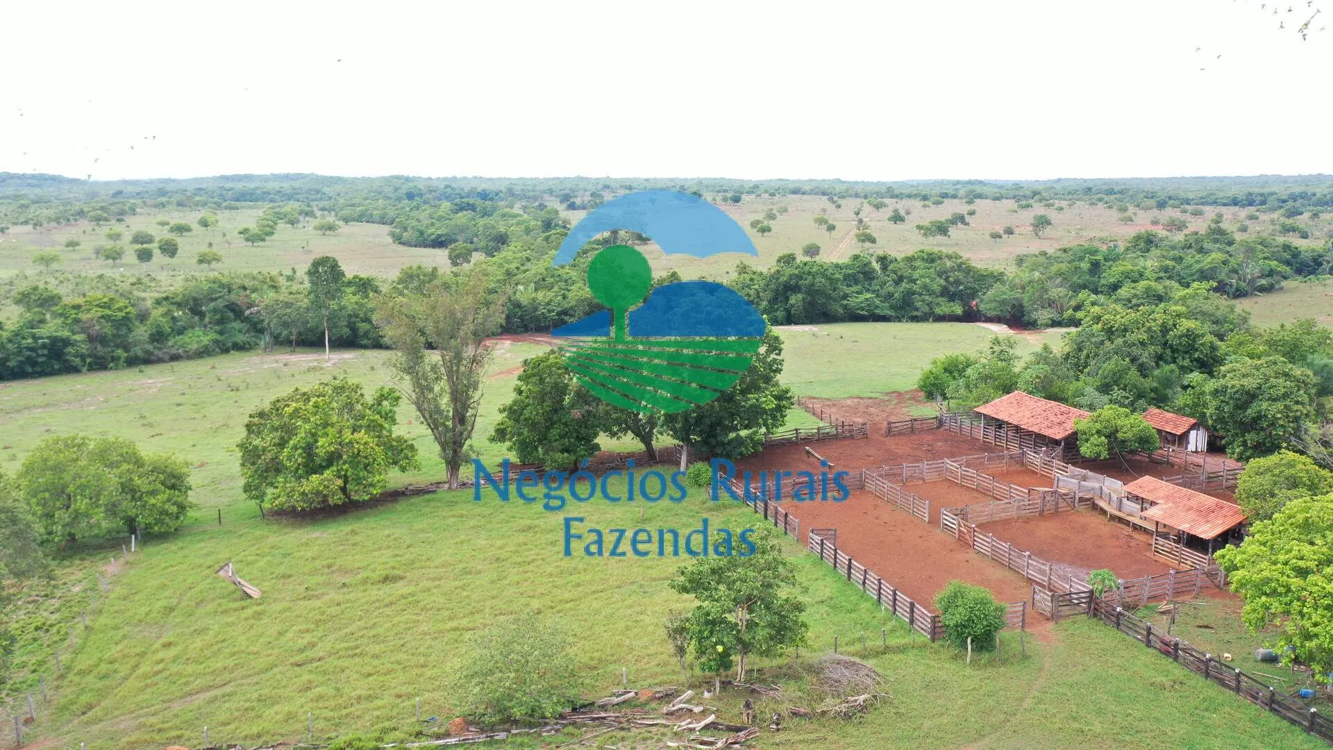 Fazenda à venda de 784 ha em Palmeirópolis, TO, Brasil