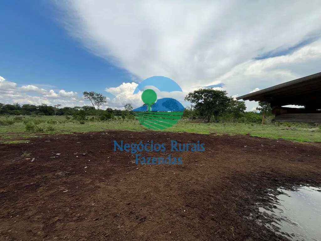 Fazenda à venda de 784 ha em Palmeirópolis, TO, Brasil