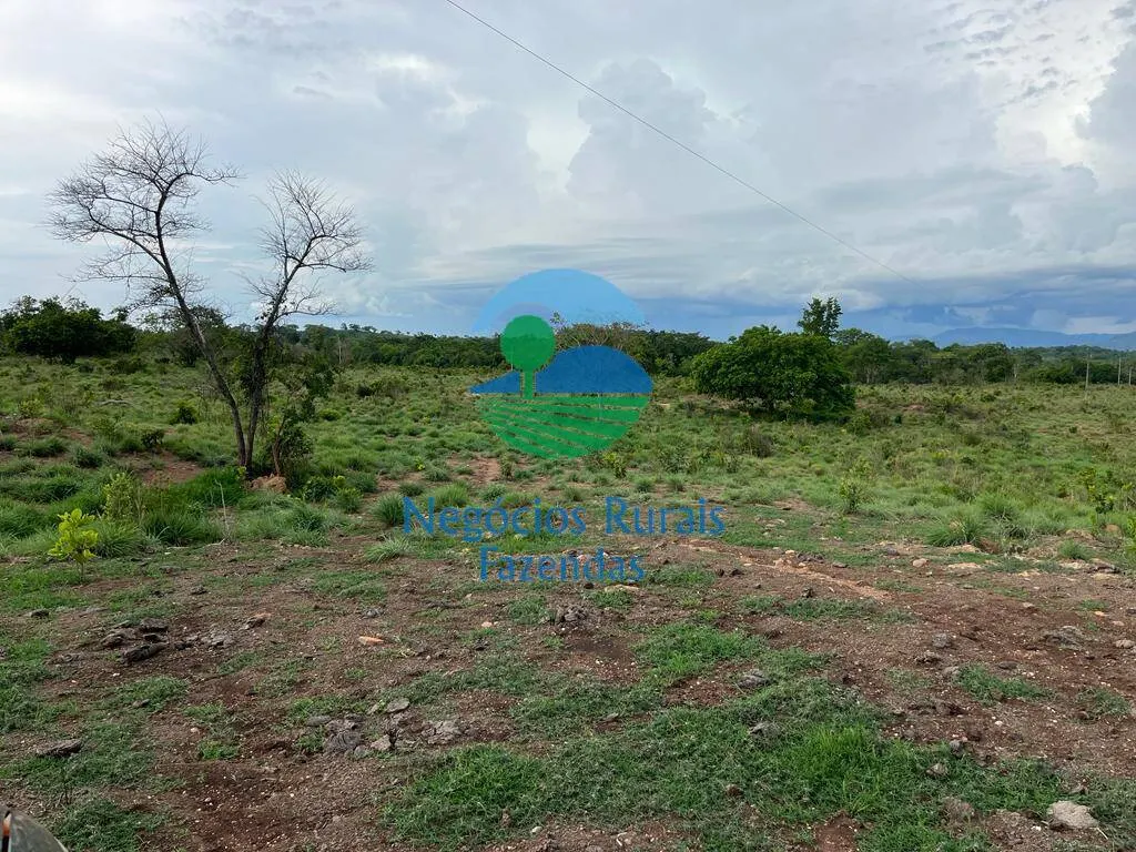 Fazenda à venda de 784 ha em Palmeirópolis, TO, Brasil