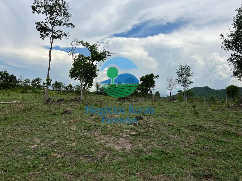 Fazenda à venda de 784 ha em Palmeirópolis, TO, Brasil