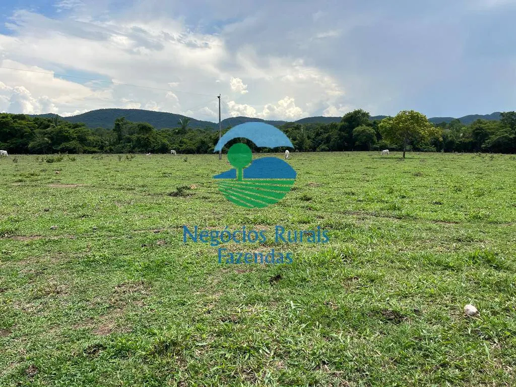 Fazenda à venda de 784 ha em Palmeirópolis, TO, Brasil
